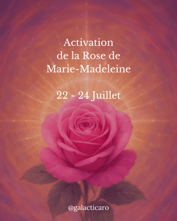 La Rose de Marie-Madeleine 🌹